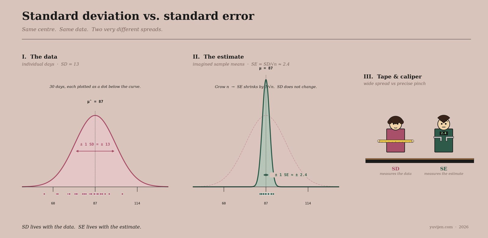 Three-panel chart on soft blush: Panel I shows a wide cranberry bell curve centred at 87 with 30 scattered dots representing daily customer counts, annotated SD = 13 with a wide bracket spanning ±1 SD; Panel II shows the same x-axis but a much narrower green bell curve (with the faded pink SD curve in the background for reference) and 30 dots clustering tightly around 87, annotated SE = SD over root n approximately 2.4 with a much narrower bracket; Panel III is a small cartoon of SD in cranberry holding a long yellow measuring tape stretched between her hands, and SE in forest green holding a precision caliper with a digital readout showing 2.4.